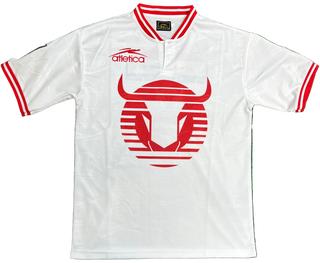 Toros Neza RETRO